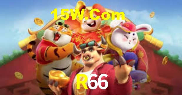 Premium Interface R66